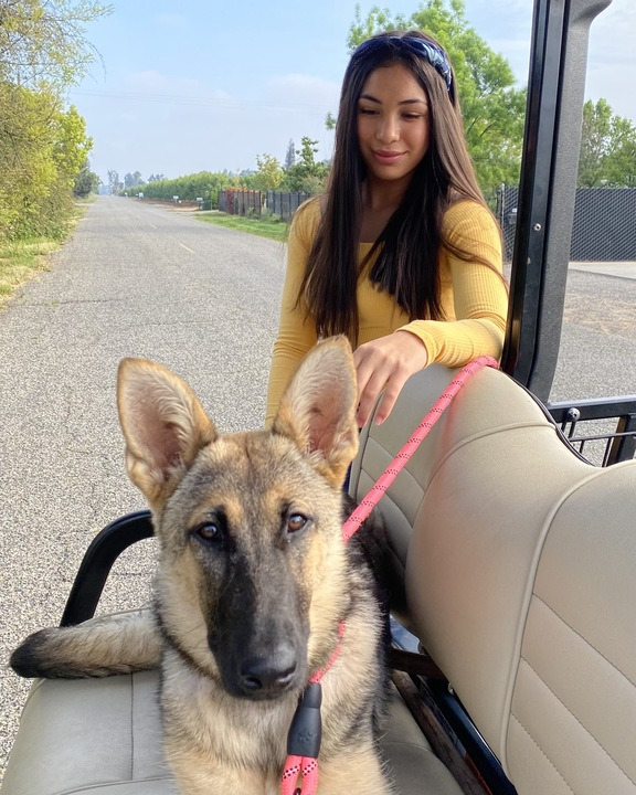 Karina caring for a dog
